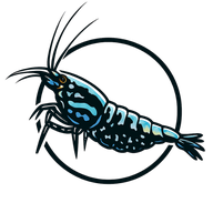 Shrimpcent logo